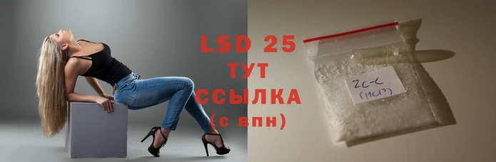 прущие грибы Зеленокумск