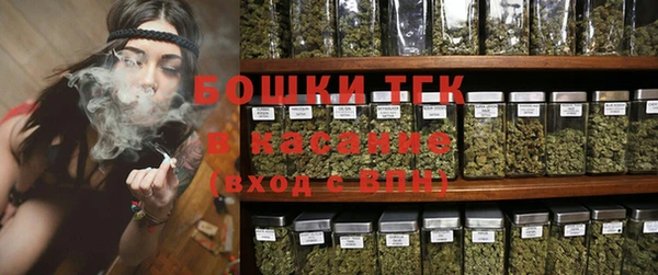 прущие грибы Зеленокумск