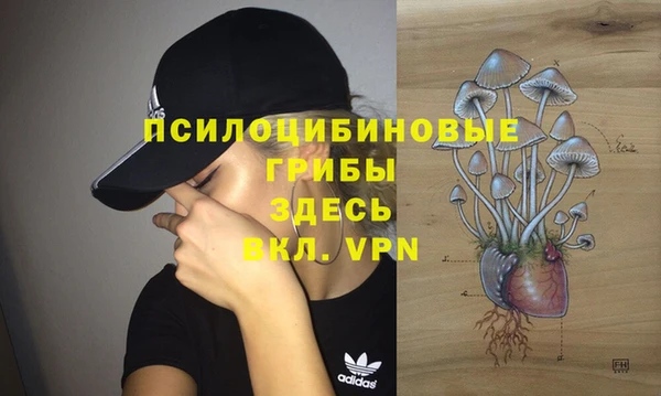 прущие грибы Зеленокумск