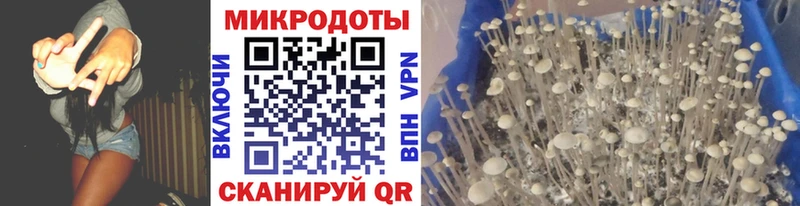 Галлюциногенные грибы Cubensis  Купить где  Гусев 