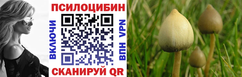Галлюциногенные грибы GOLDEN TEACHER Гусев