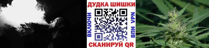 Бошки марихуана план  Купить закладки  Гусев 